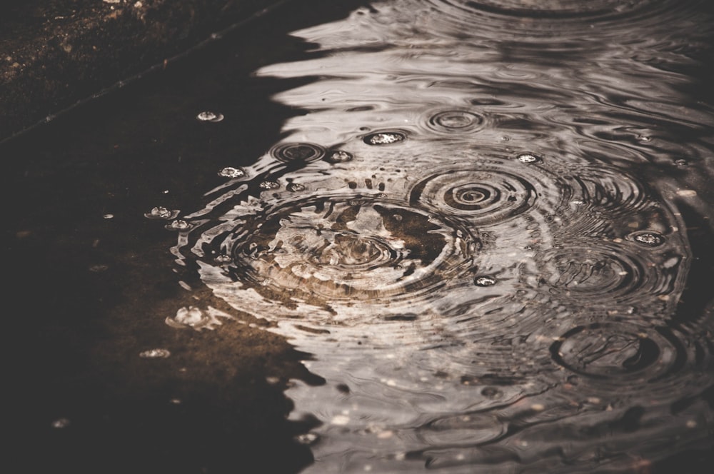 Photographie en gros plan de gouttelettes d’eau