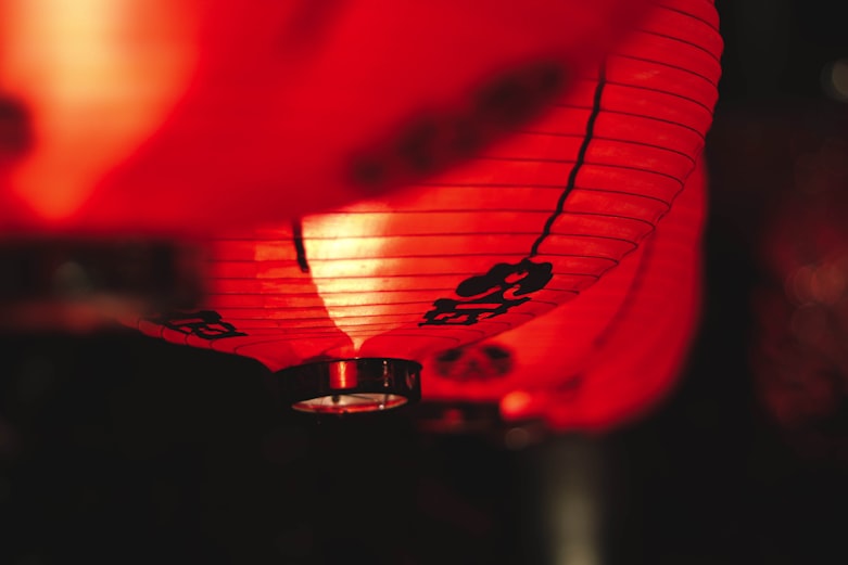 selective focus photography of paper lamps