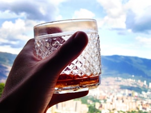 A close-up of a hand holding a stylish tumbler against a scenic outdoor backdrop.