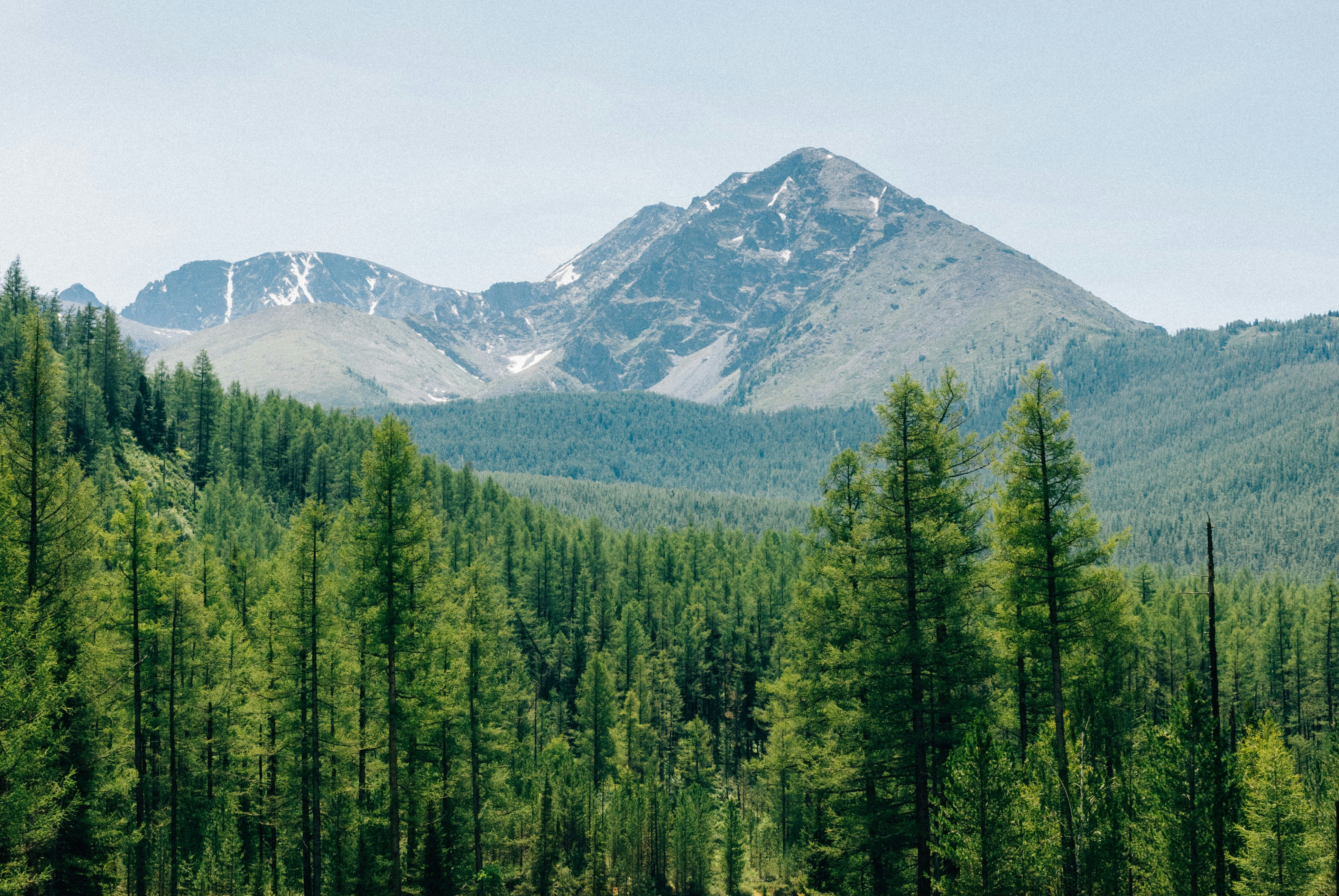 Пейзаж. Фотограф Никита Никитенко
