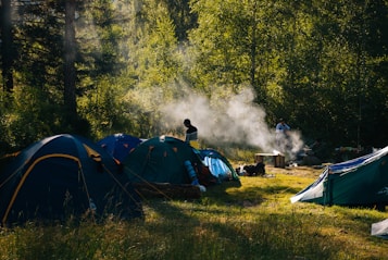 A campsite is set in a lush forest with several tents arranged on a grassy area. Wisps of smoke rise from a small campfire, suggesting cooking or warmth. The sunlight filters through the trees, casting dappled shadows on the ground. Two figures are present, one near the tents and another by the fire, enhancing the sense of outdoor activity and leisure.