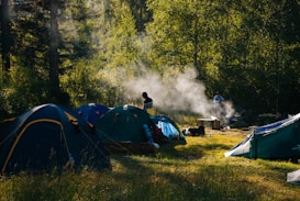 A campsite is set in a lush forest with several tents arranged on a grassy area. Wisps of smoke rise from a small campfire, suggesting cooking or warmth. The sunlight filters through the trees, casting dappled shadows on the ground. Two figures are present, one near the tents and another by the fire, enhancing the sense of outdoor activity and leisure.