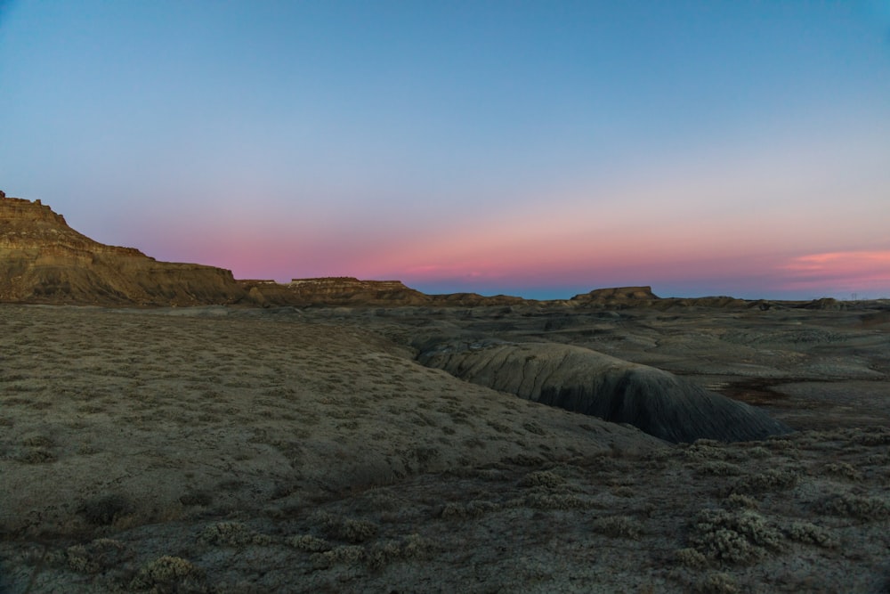 scenery of a dryland