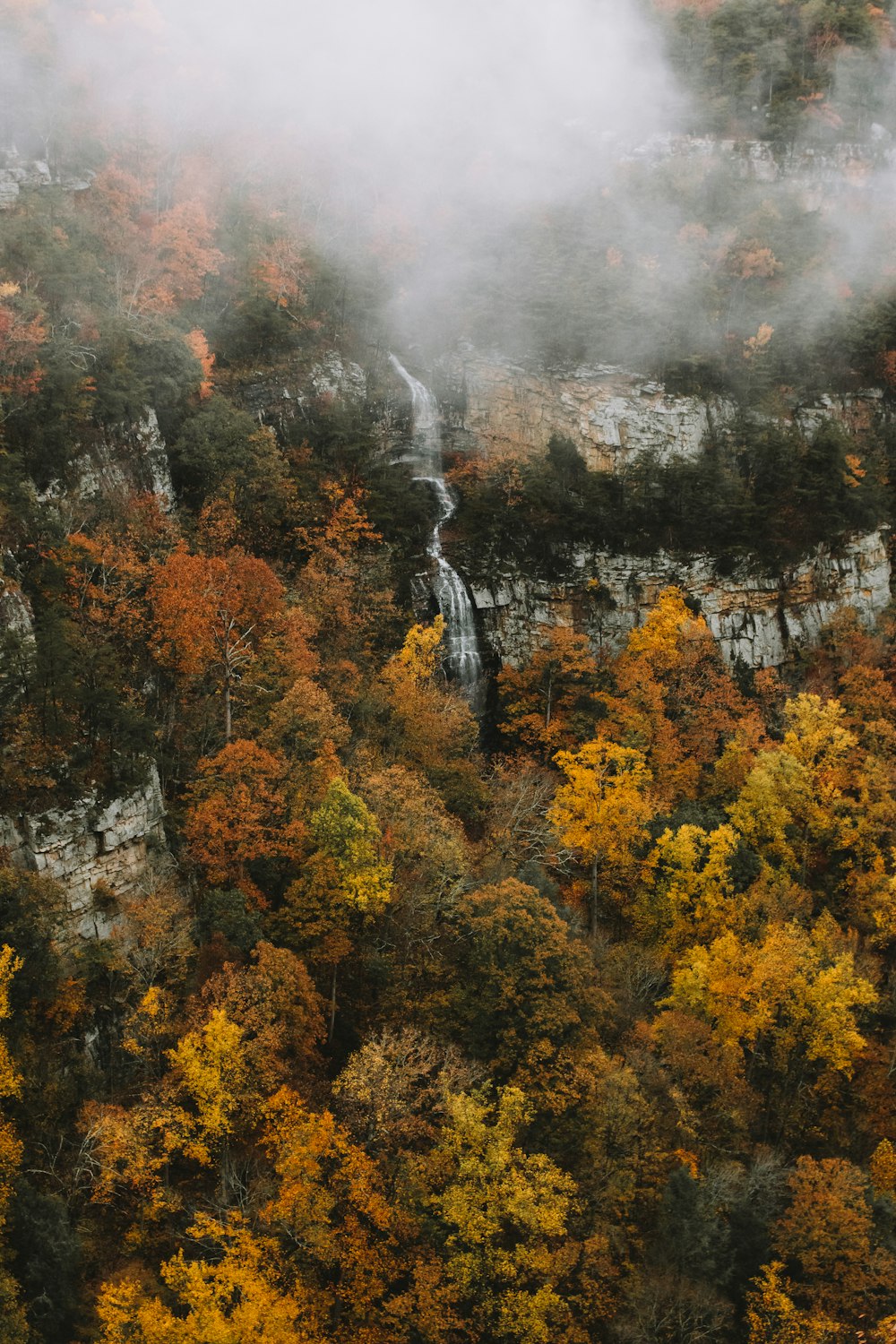 aerial view of waterfalls surrounded by tall trees with fog