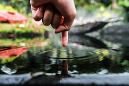 person pointing on body of water