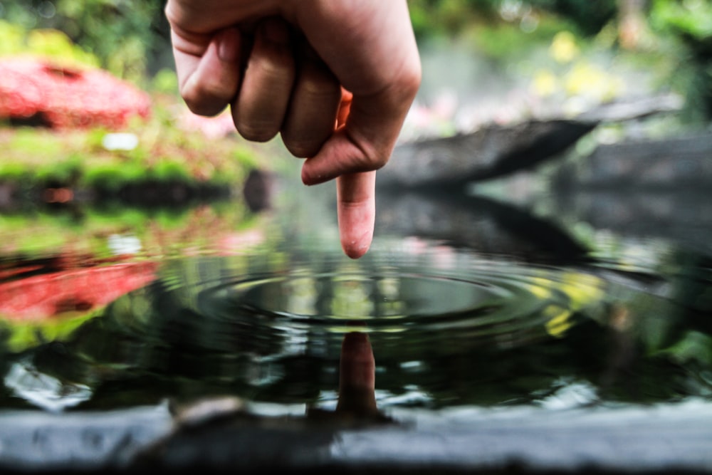 person pointing on body of water