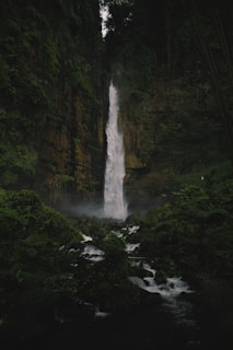 photo of waterfalls in forest