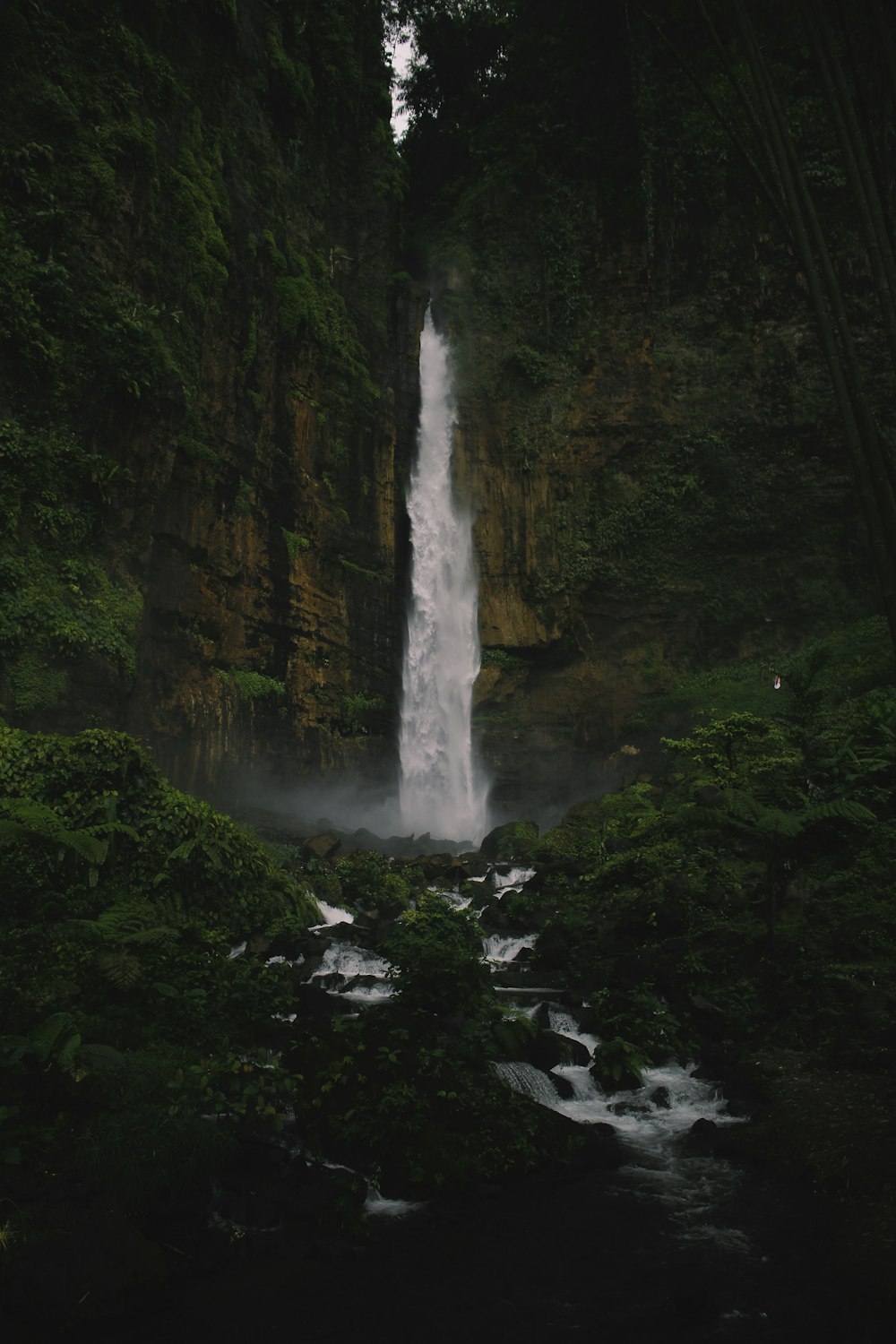 photo of waterfalls in forest
