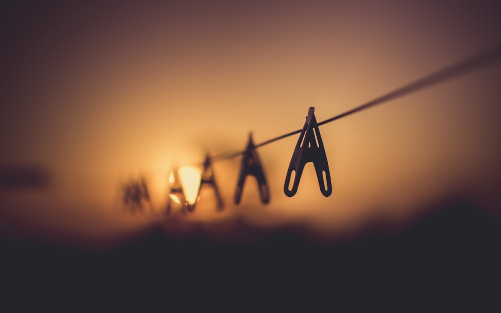 silhouette photo of cloth pegs