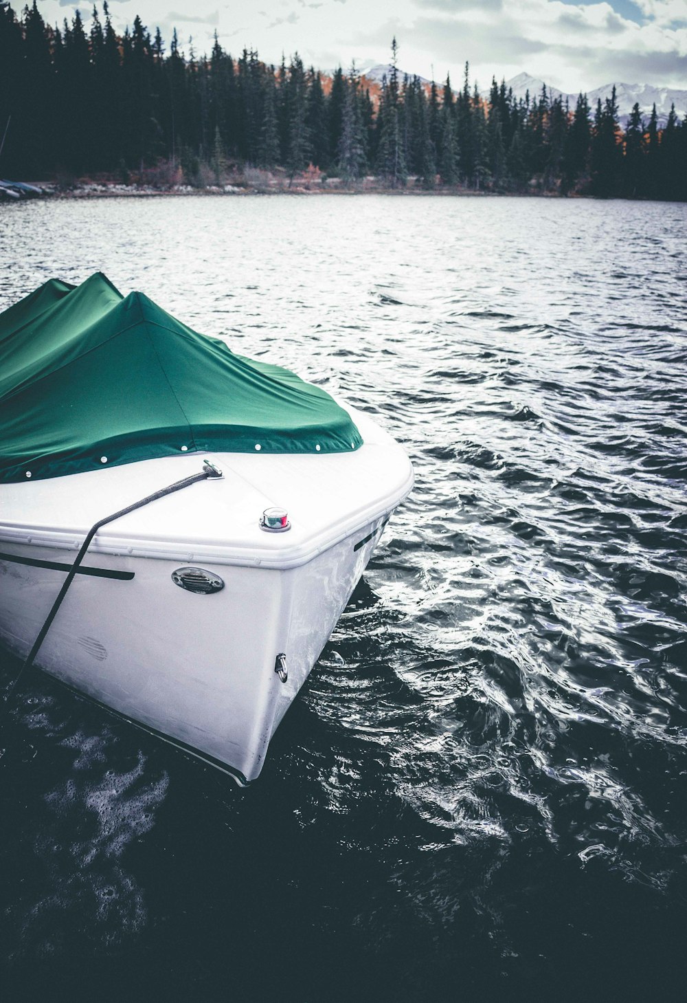 white and green motor boat on body of water