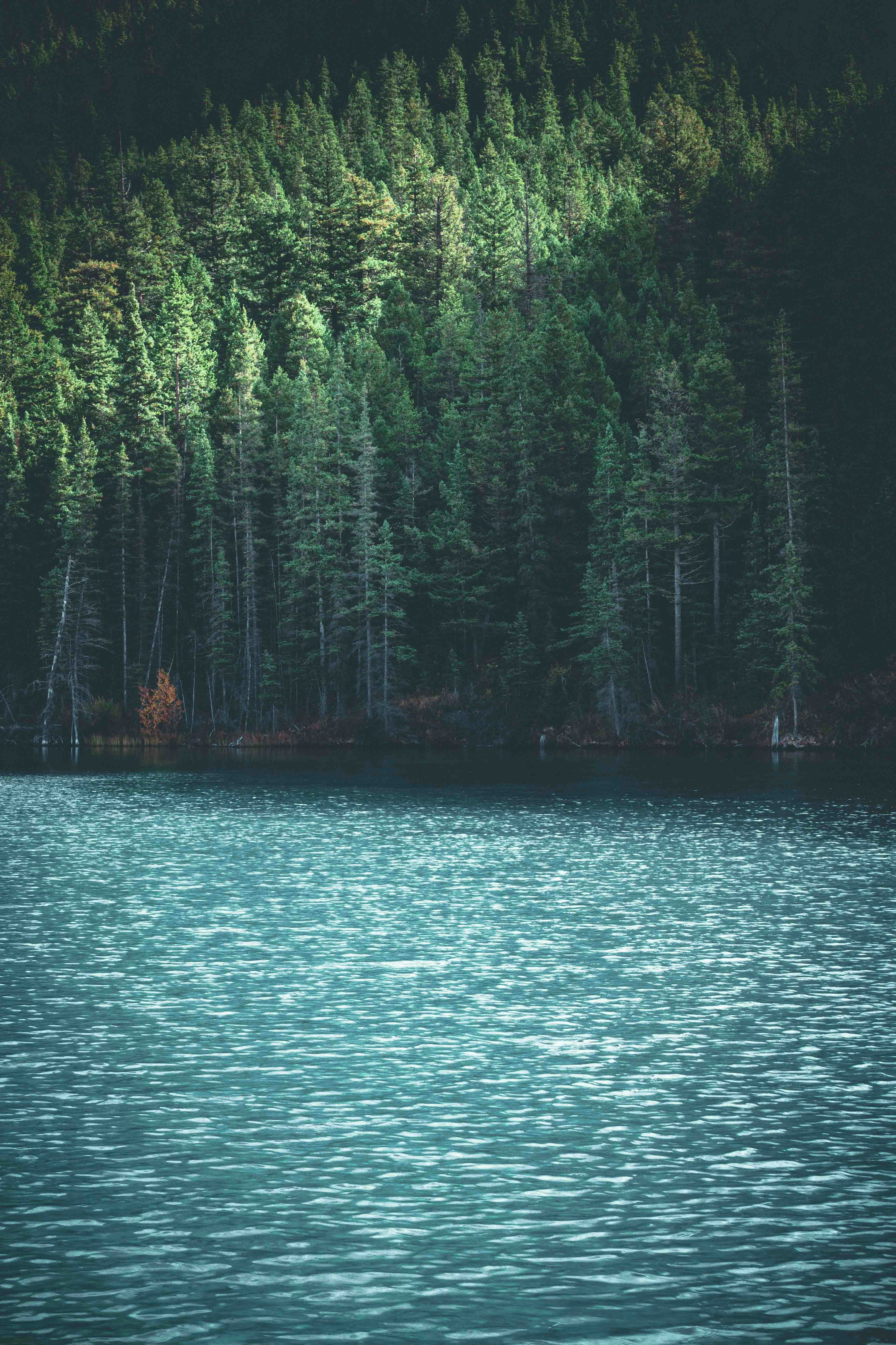 Photo by aleksandarsavic