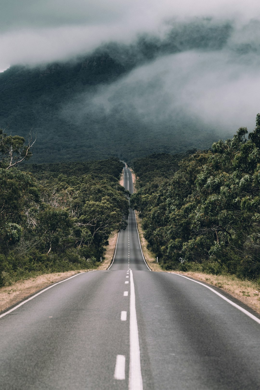 travelers stories about Road trip in Grampians National Park, Australia