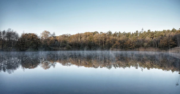 A tranquil lakeside scene with reflections of autumn trees and soft mist hovering above the water.