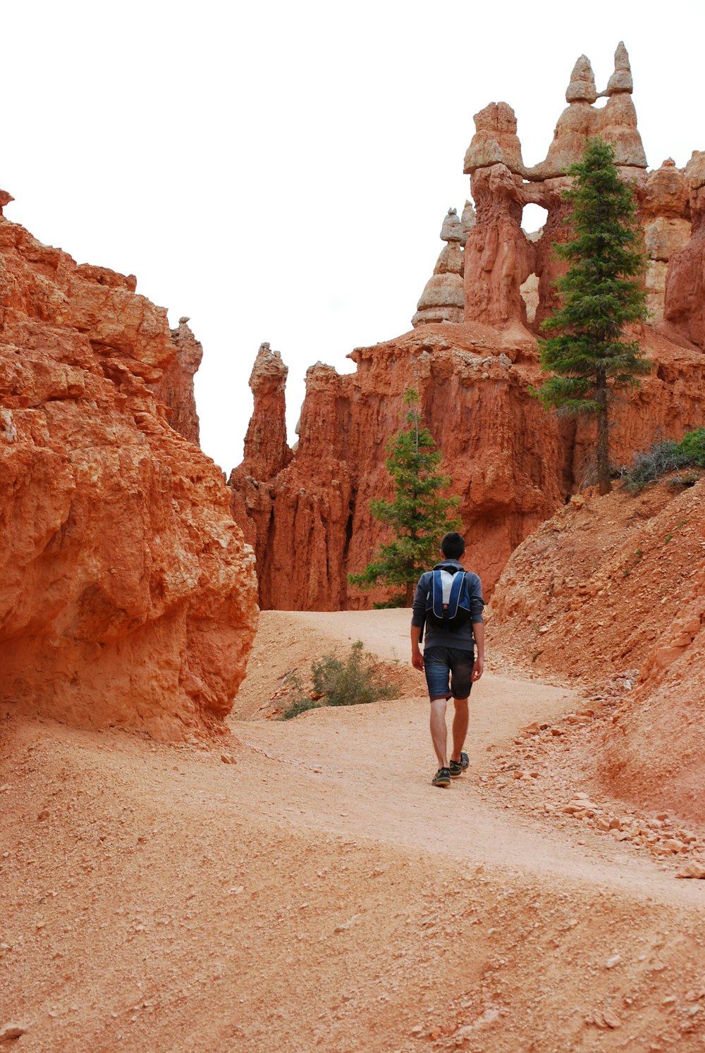 man walking on road between rock formation mountains