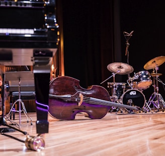 low angle photography of violin on ground