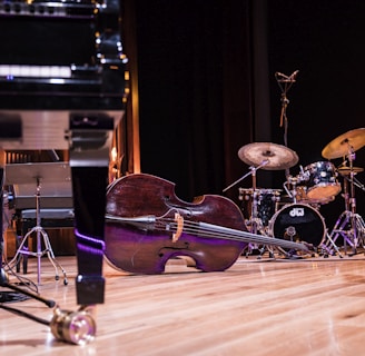 low angle photography of violin on ground