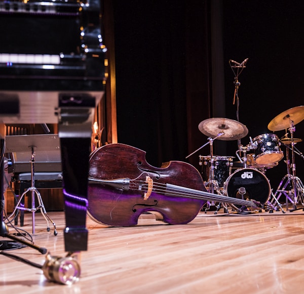 low angle photography of violin on ground