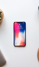 space gray iPhone X near green succulent