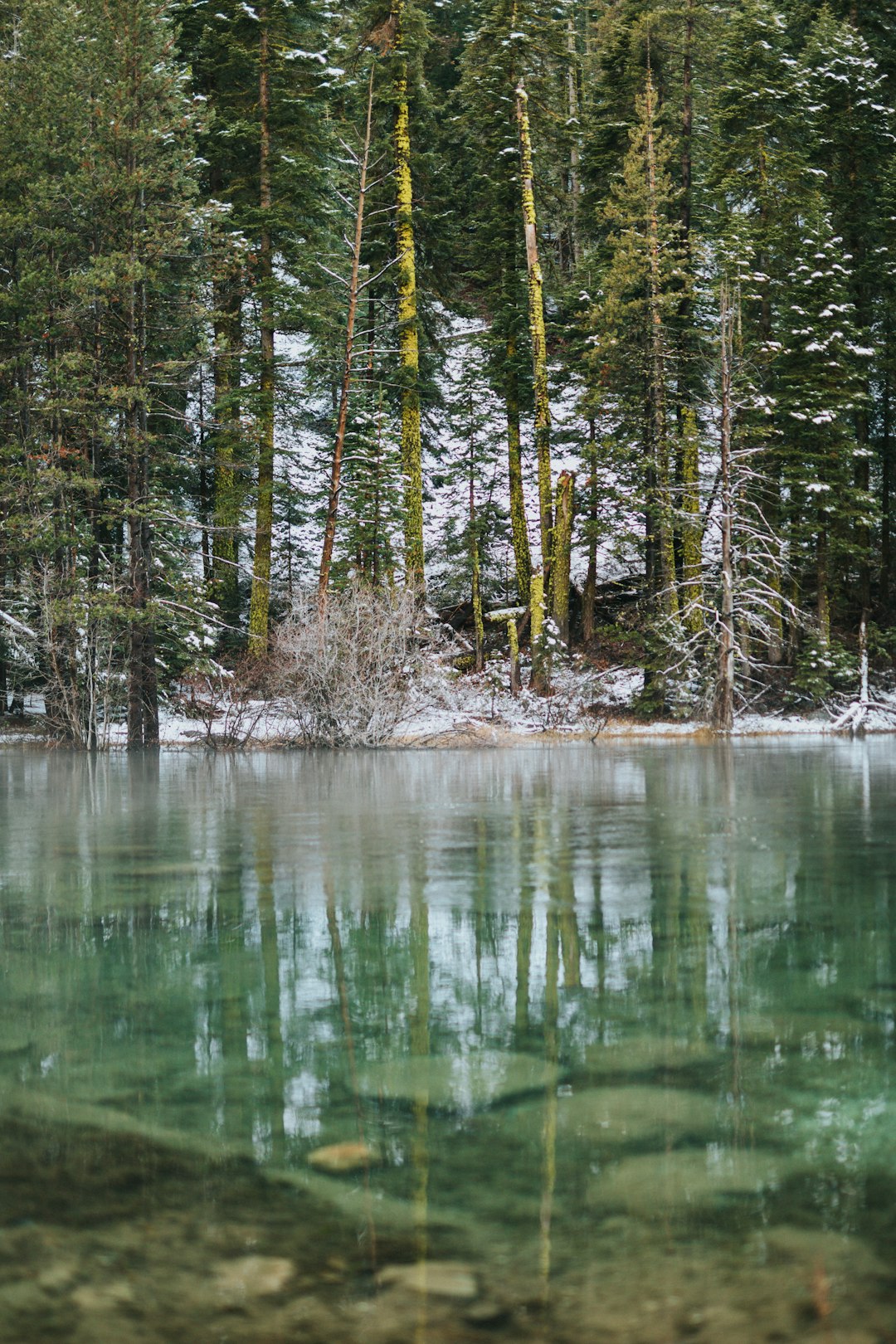 body of water with stones