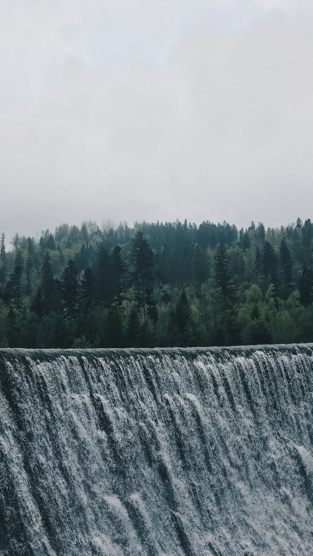 landscape photography of gray mountain beside pine trees