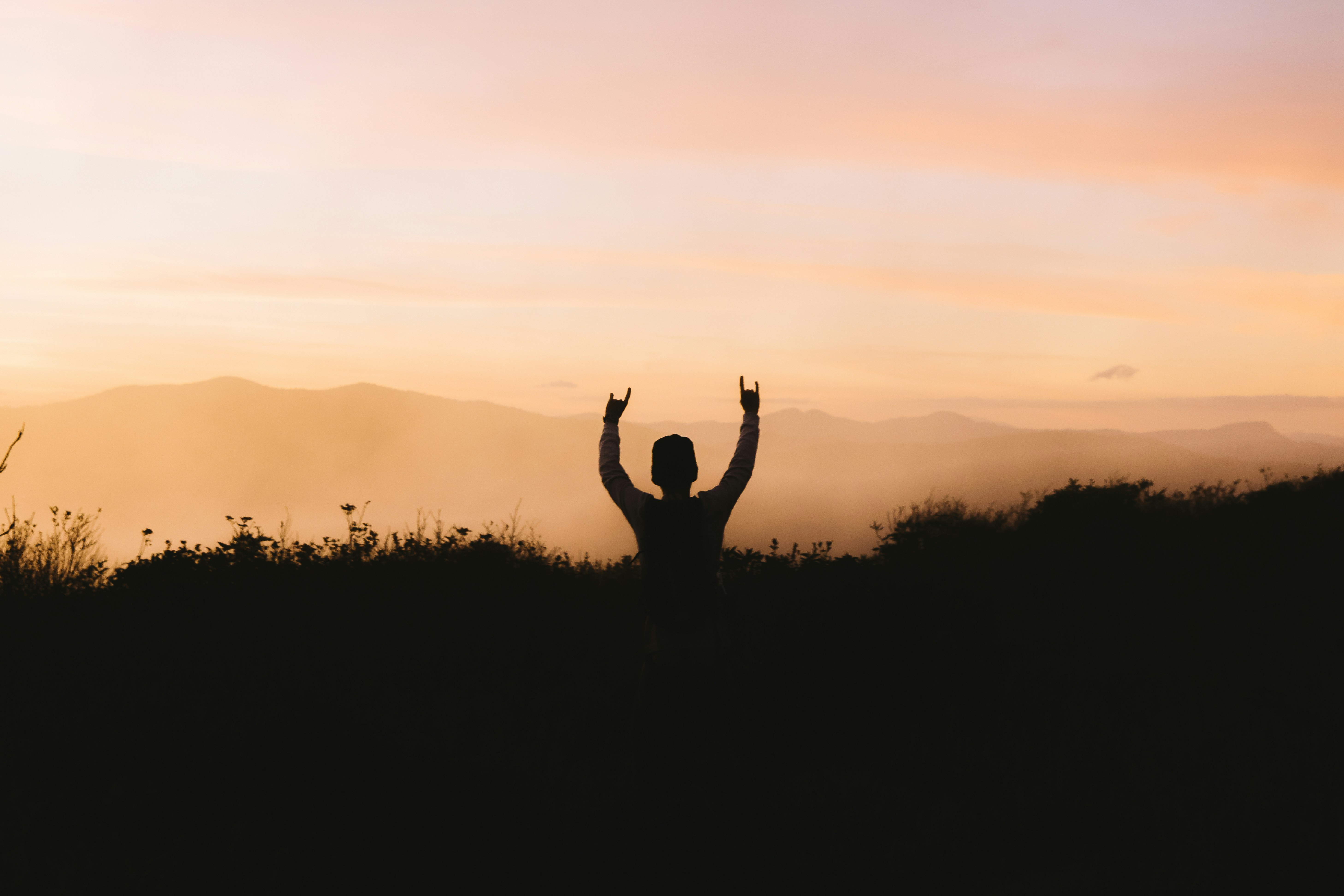 邵阳市红黑人口库_邵阳市博物馆图片(3)