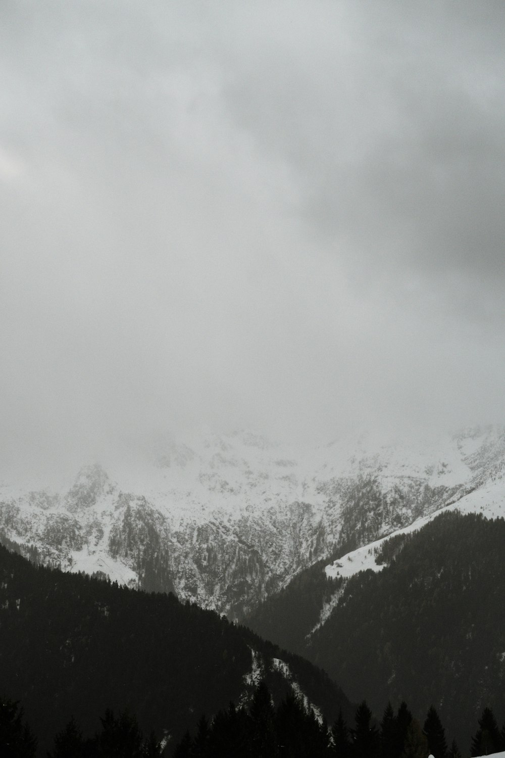 silhouette of trees near mountain