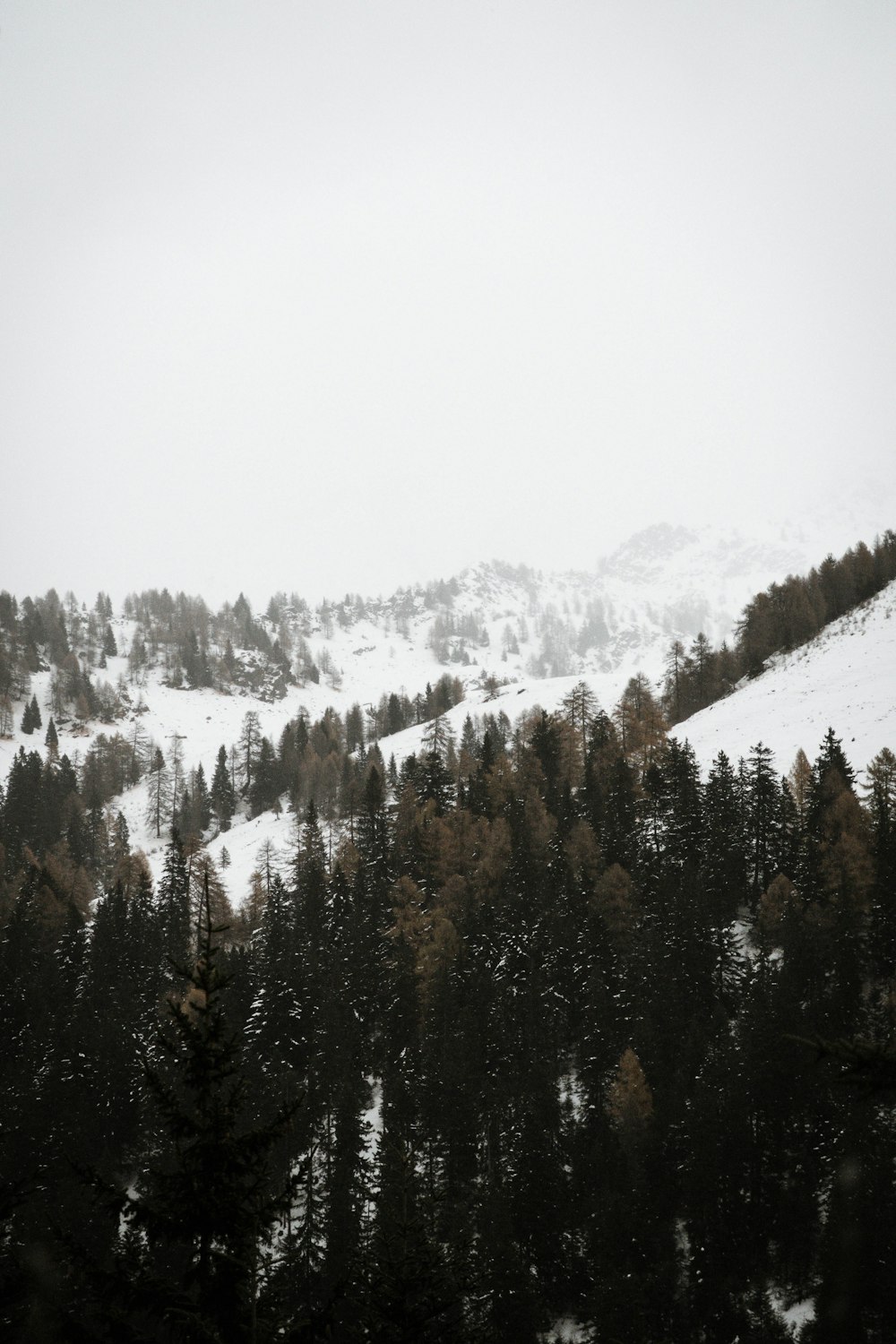 mountain covered by snow during daytime