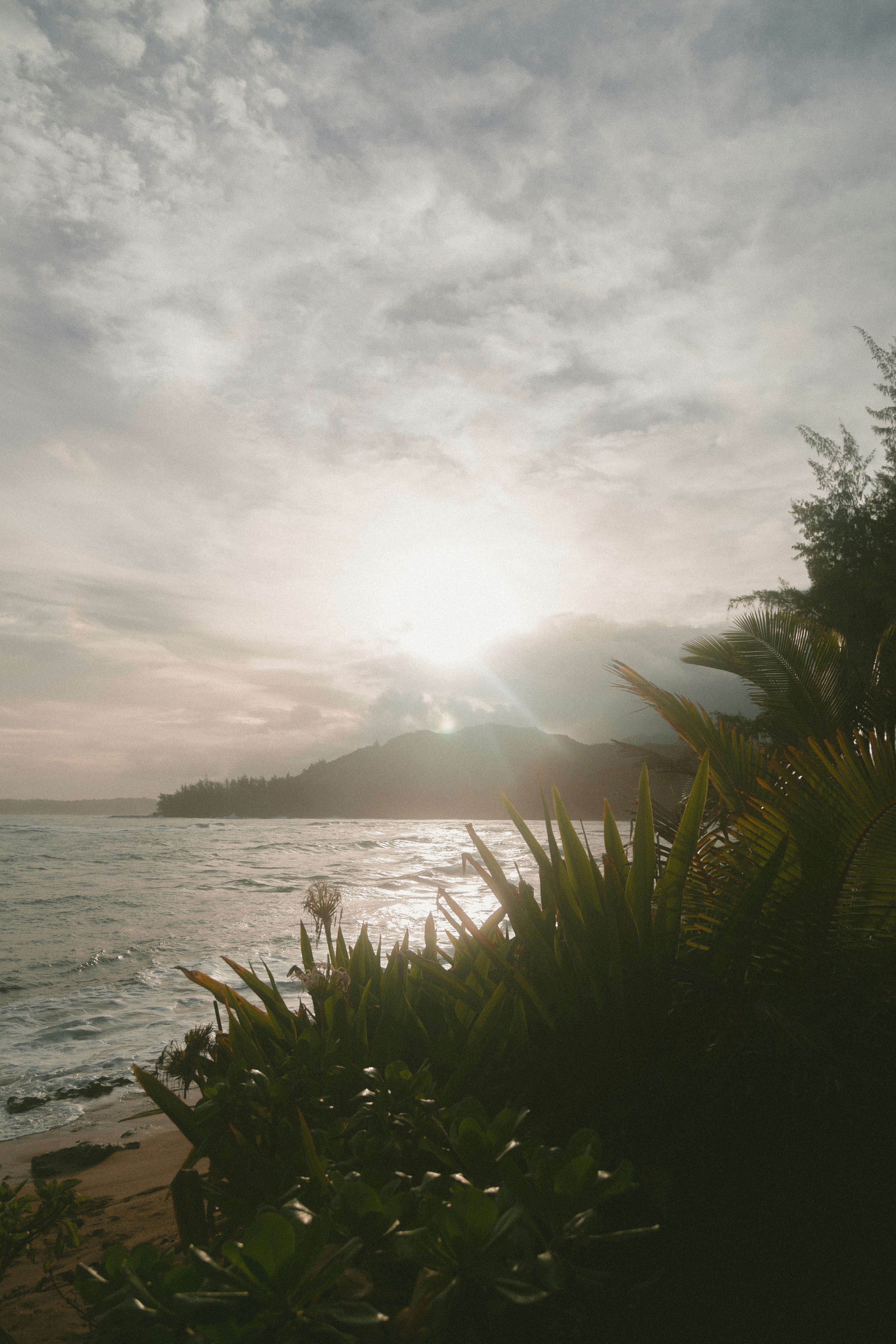 Photo by jakobowens1