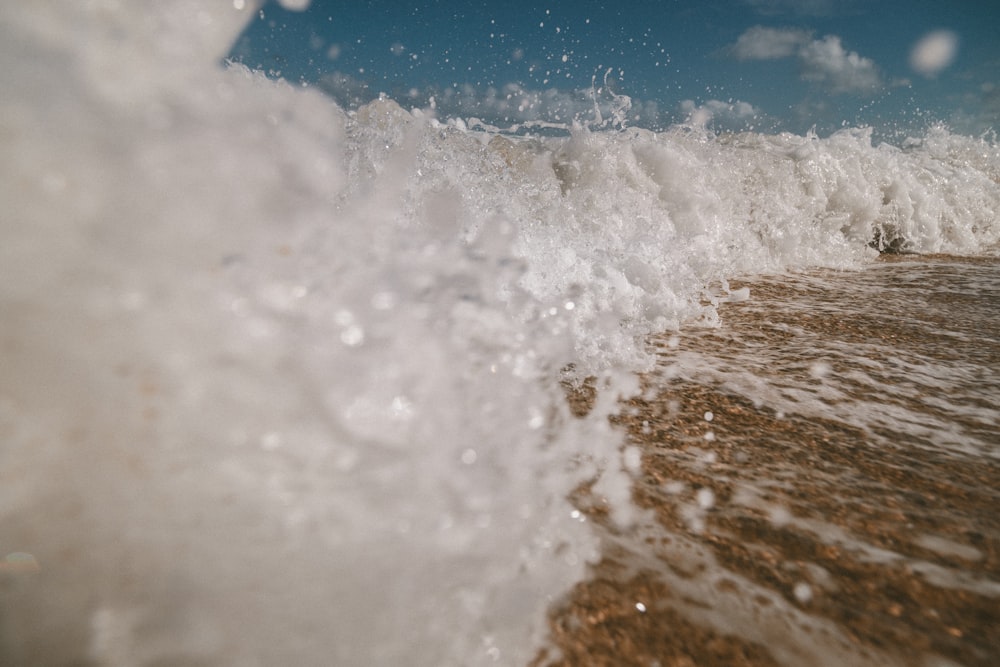 photo of sea wave