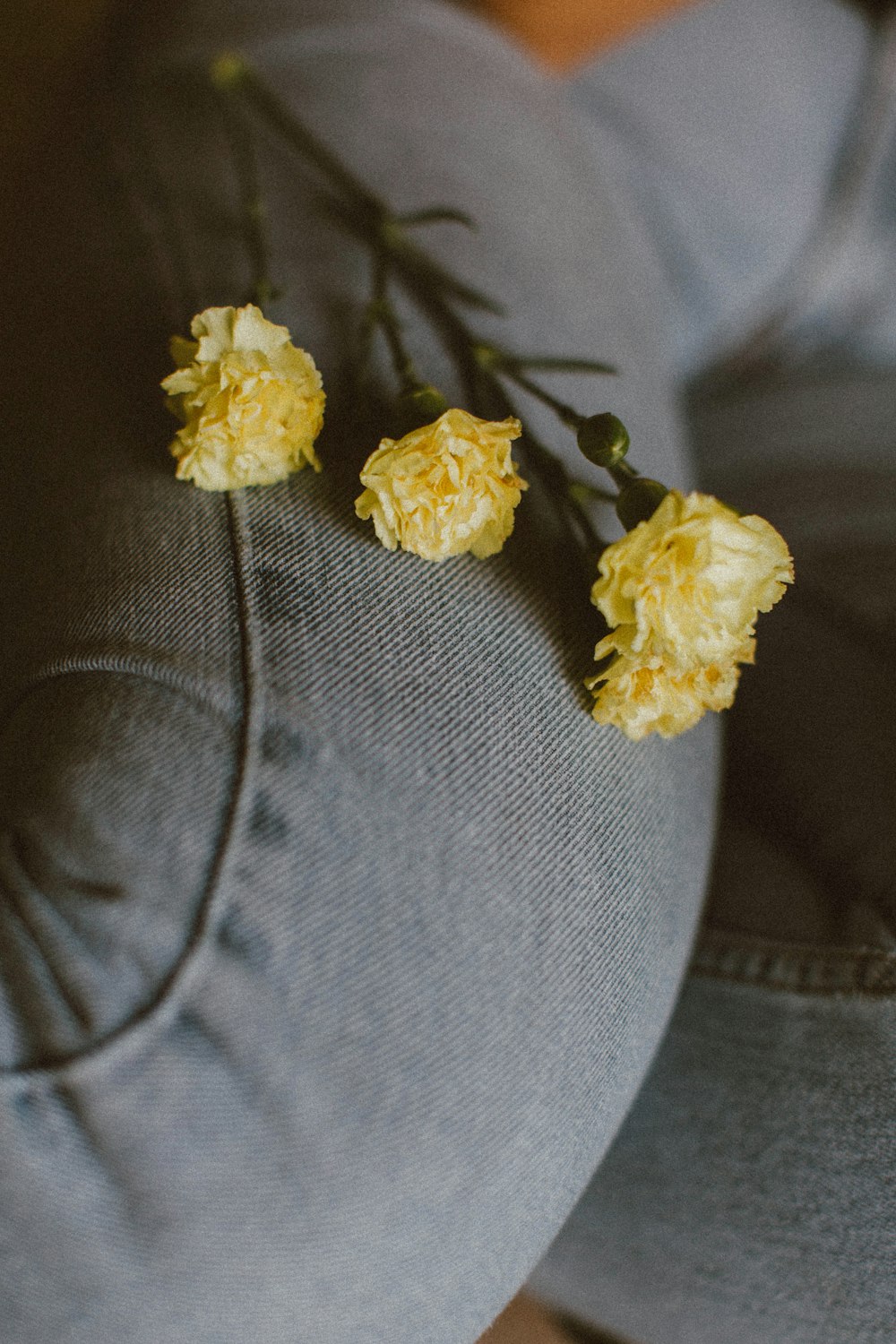 selective focus photography of three yellow petaled flowers on person's legf