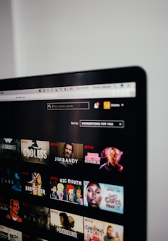 computer monitor showing Netflix selection screen