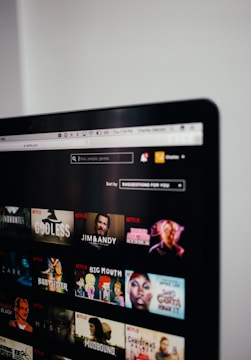 computer monitor showing Netflix selection screen