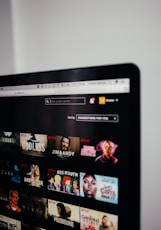 computer monitor showing Netflix selection screen