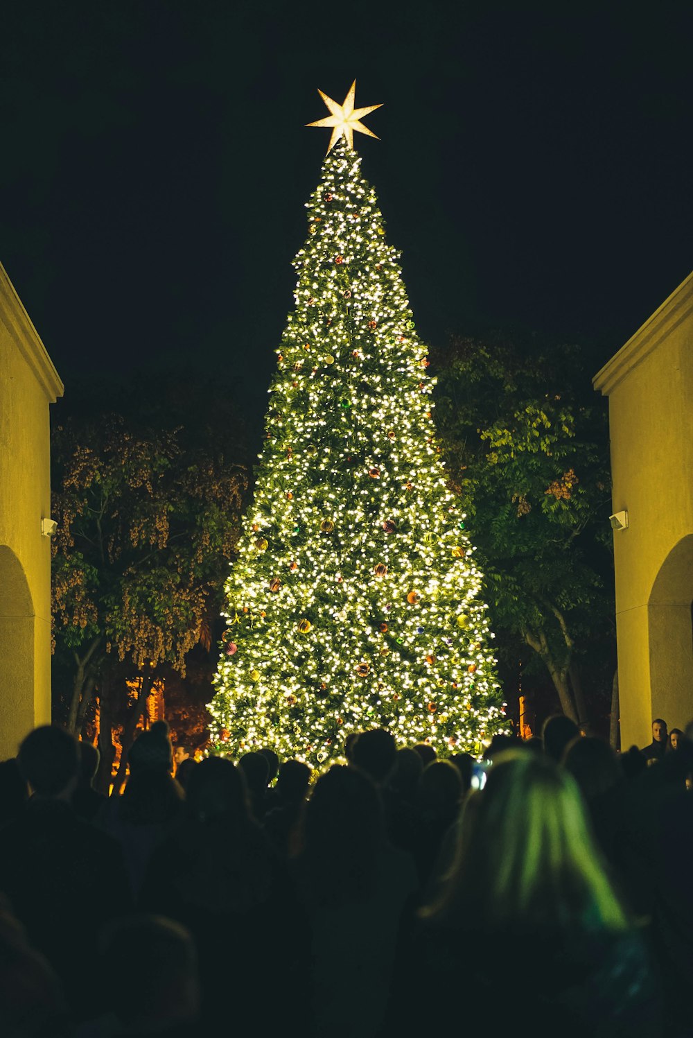 夜にライトアップされた緑のクリスマスツリーを見る人々