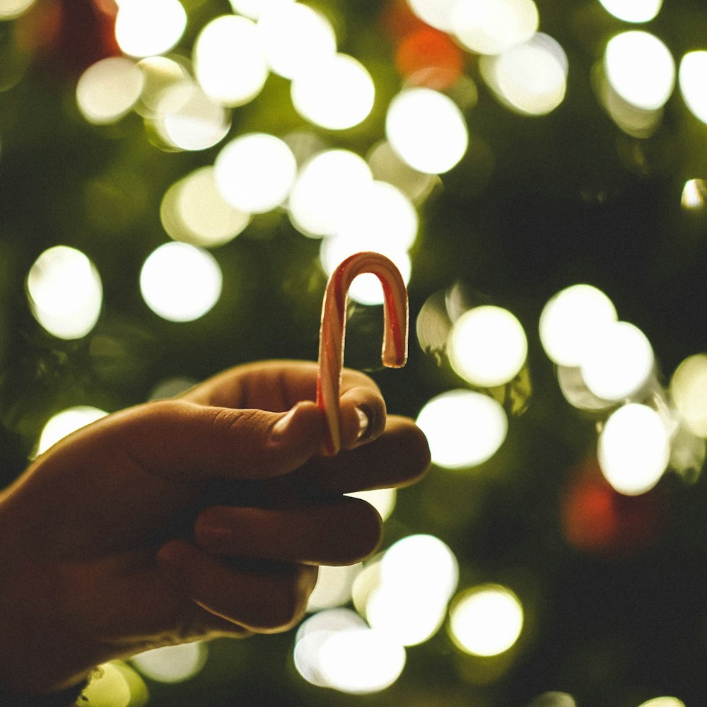 person holding white and red candy cane