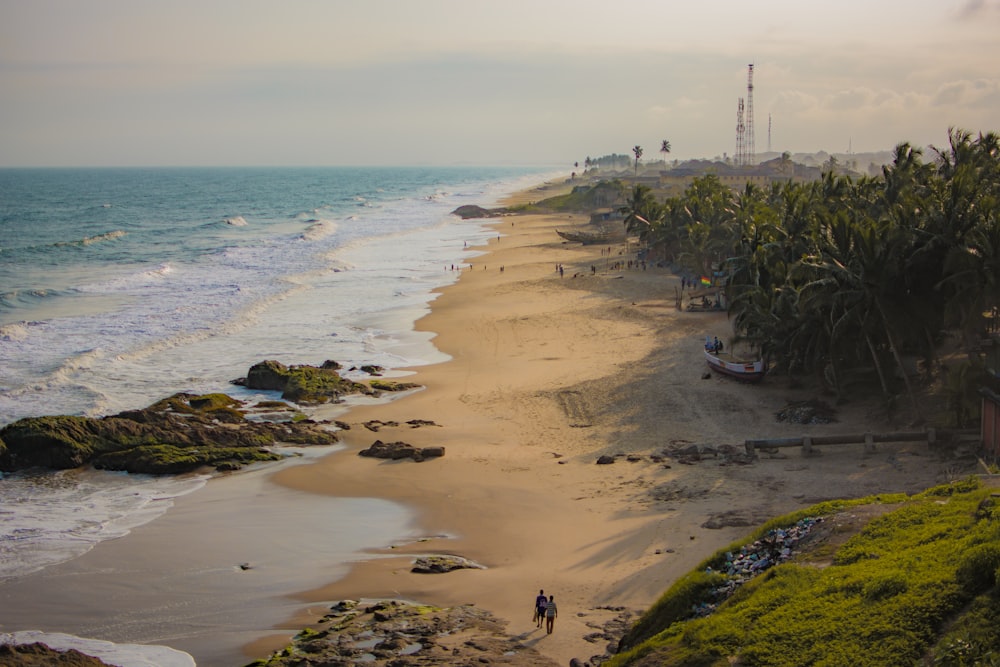 selective focus photography of shoreline