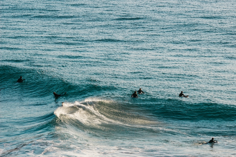 photo of people swimming in sea