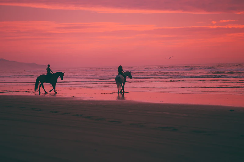 Two riders on the seashore