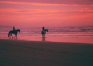 two person riding horses on seashore