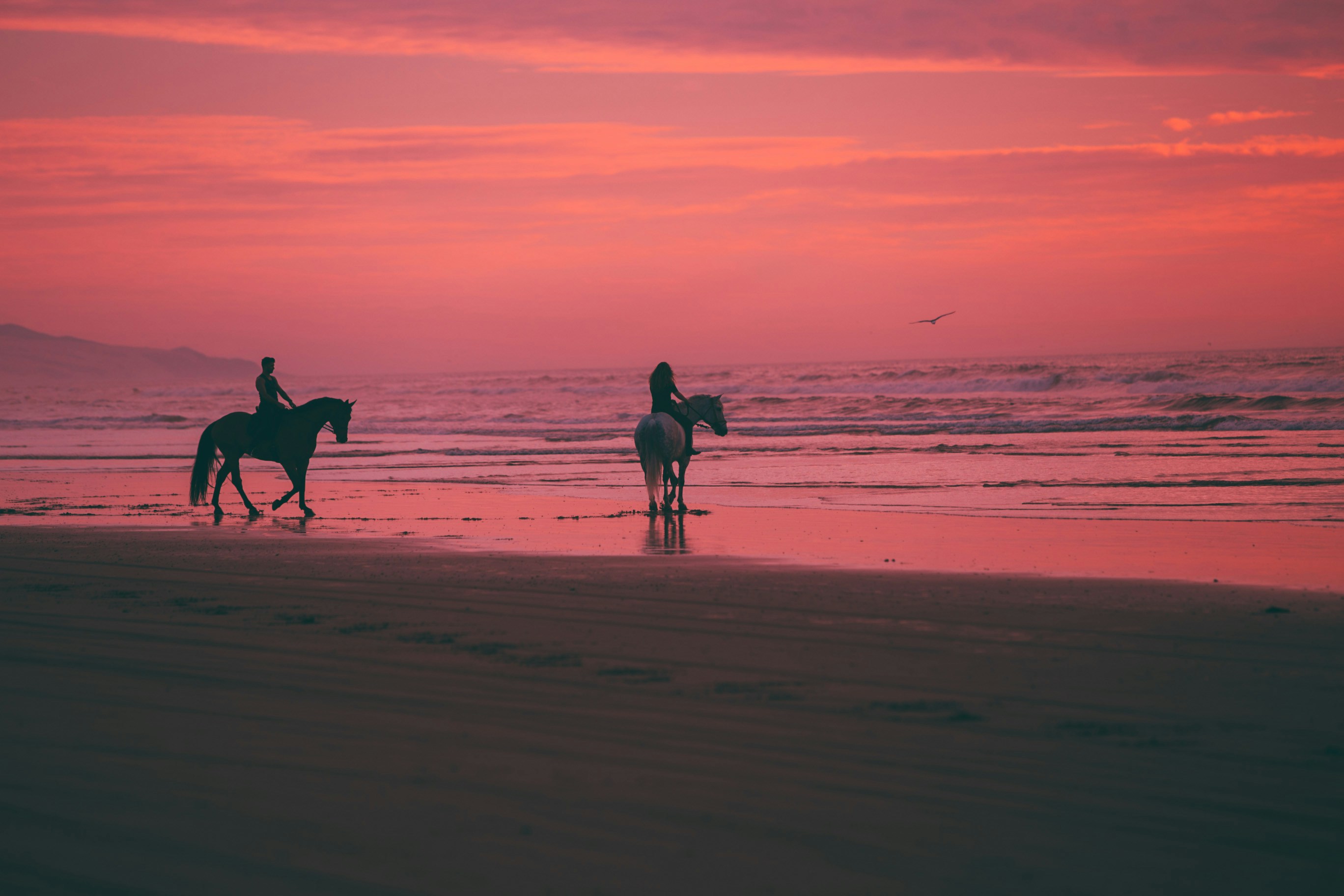 Sunset on horseback