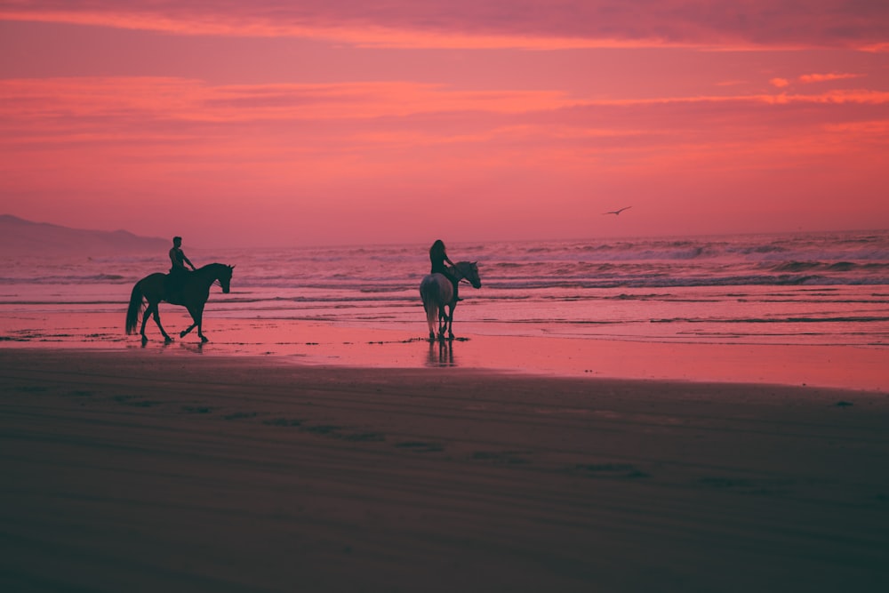 duas pessoas montando cavalos à beira-mar