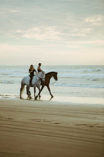 man and woman riding on horse near seashore