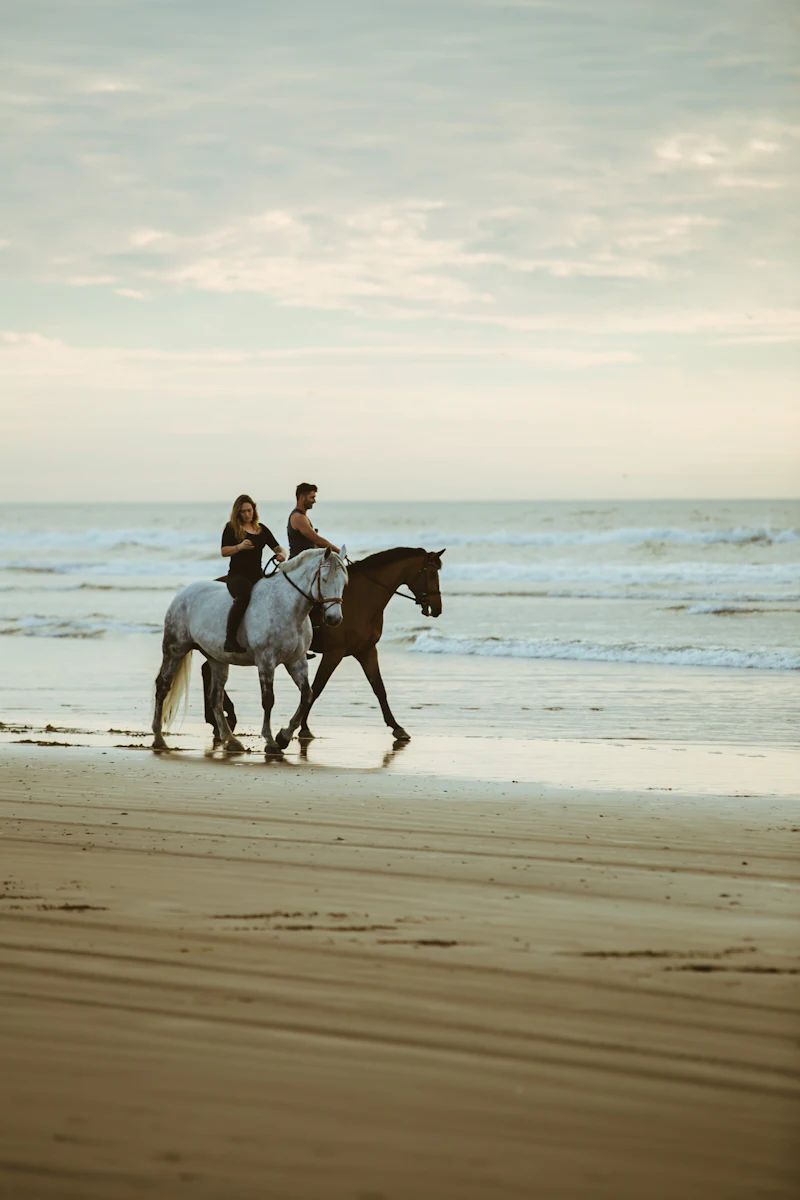 Two riders near the seashore