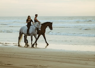 man and woman riding on horse near seashore