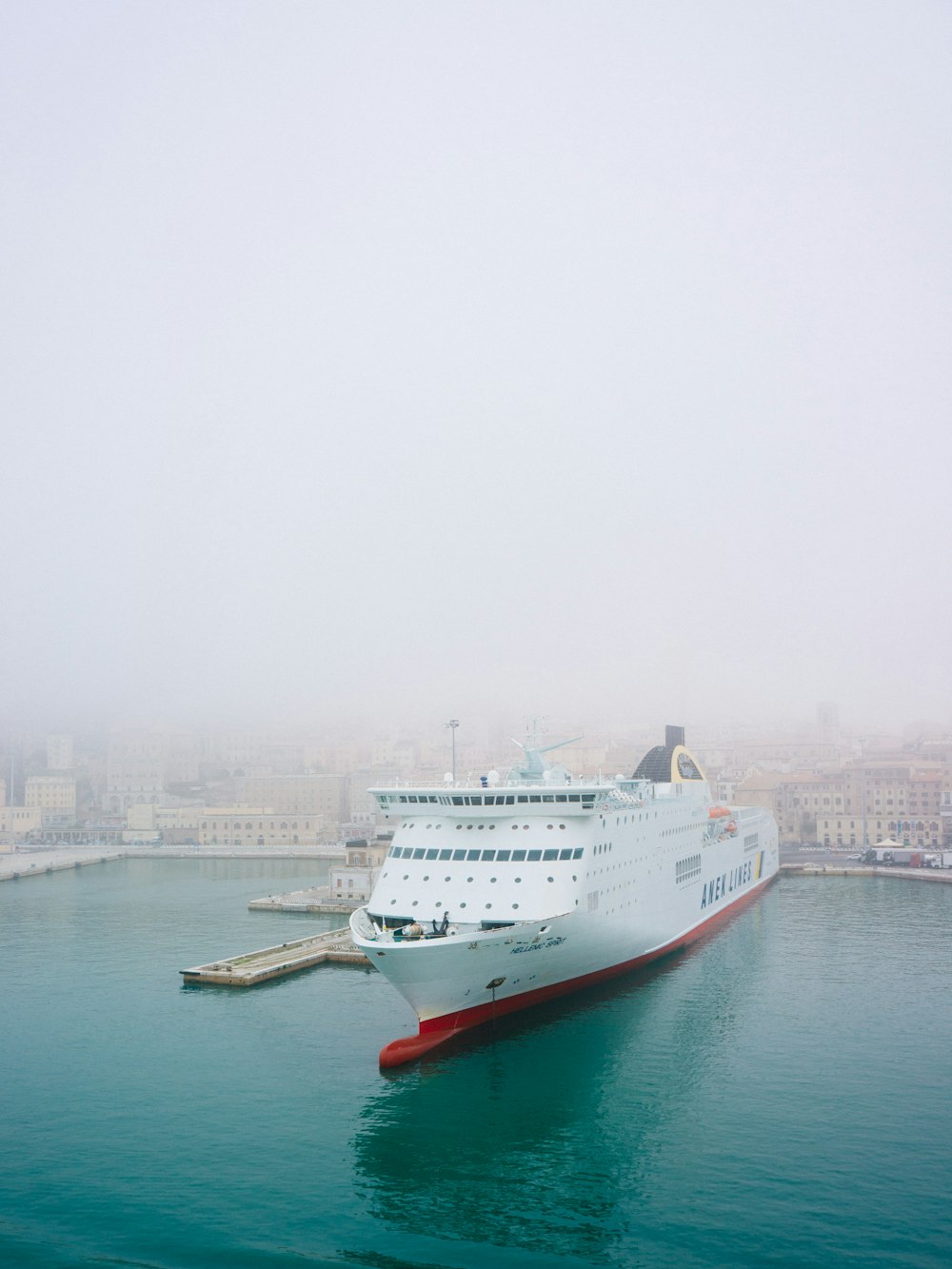 Crucero blanco en el cuerpo de agua atracando durante el día