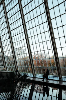 woman walking beside glass wall inside the building during daytime