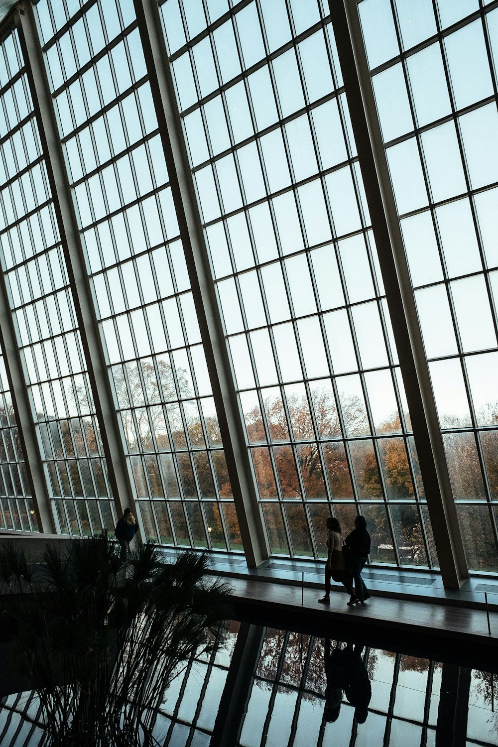 femme marchant à côté d’un mur de verre à l’intérieur du bâtiment pendant la journée