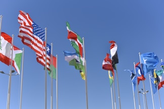 international clients - consultation