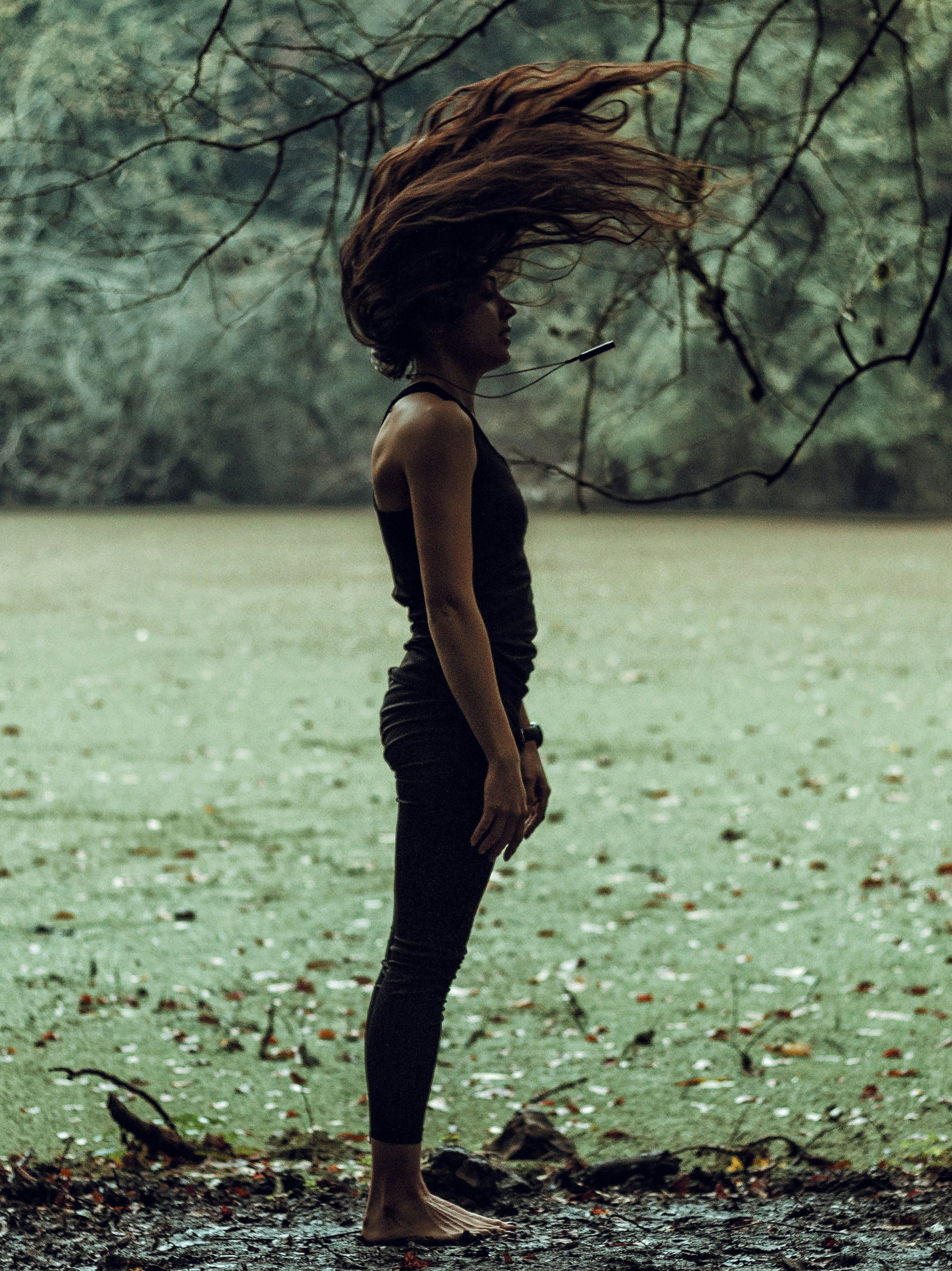 Photo by soroushkarimi