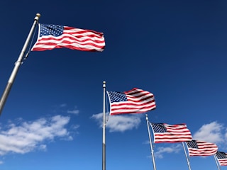 American flags flying against a blue sky representing deportation defense and federal advocacy.